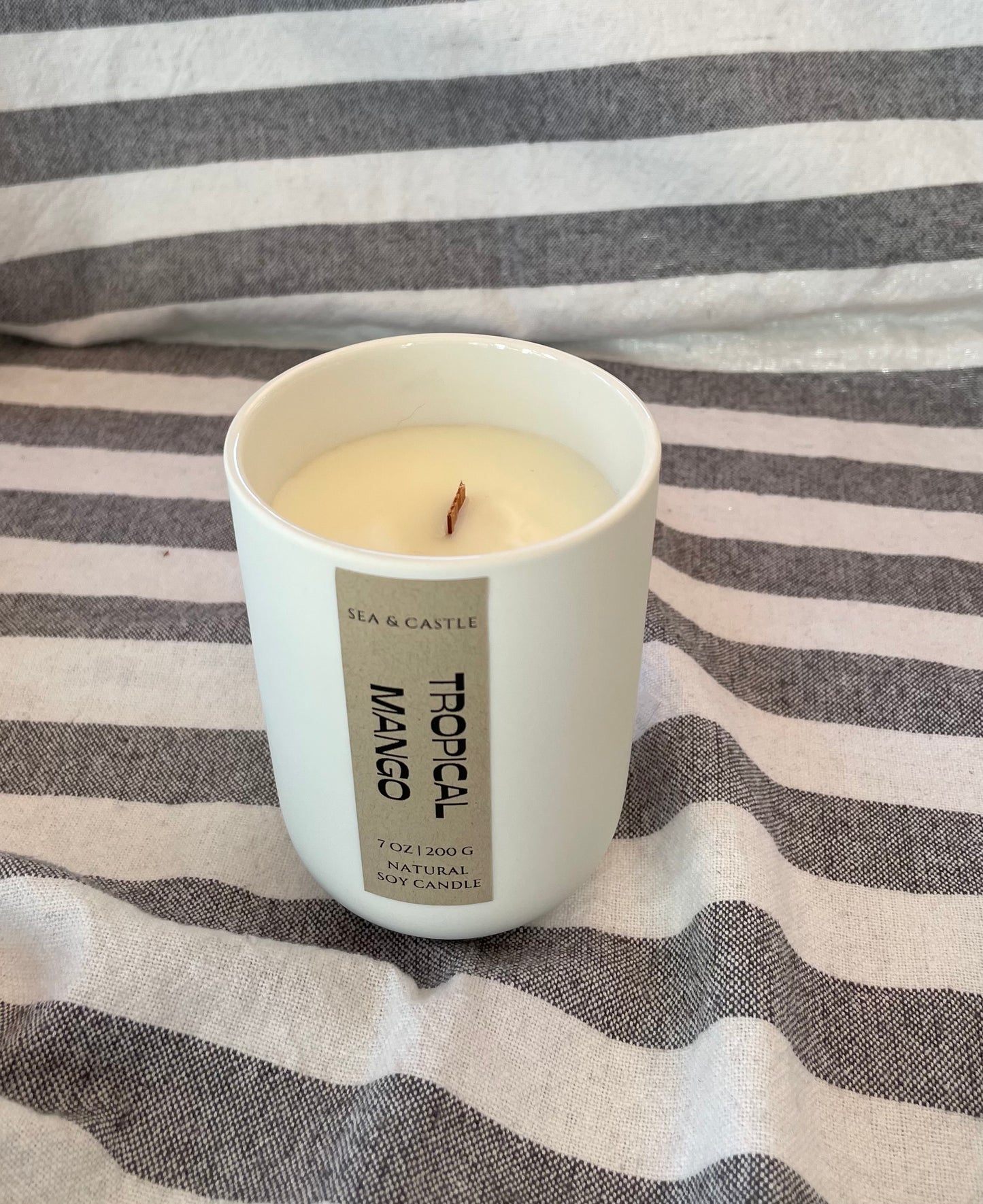 Soy Candle - Tropical Mango